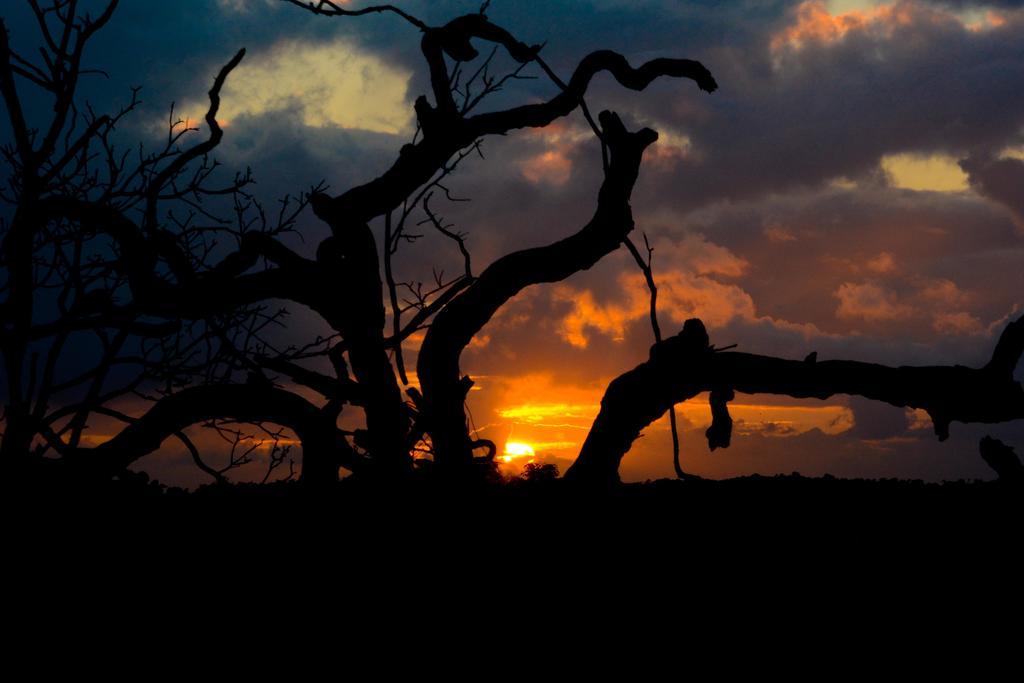 Pousada Lua Cheia Japaratinga Dış mekan fotoğraf